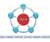 企業管理信息咨詢服務 驅動企業可持續發展的關鍵力量